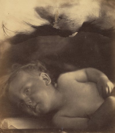 La Visione del Bambino Samuele da Julia Margaret Cameron